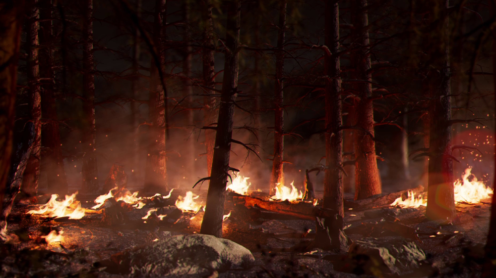 vn_examples_fire
